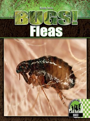 cover image of Fleas